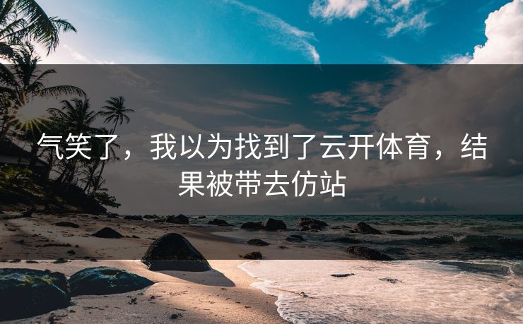 气笑了，我以为找到了云开体育，结果被带去仿站