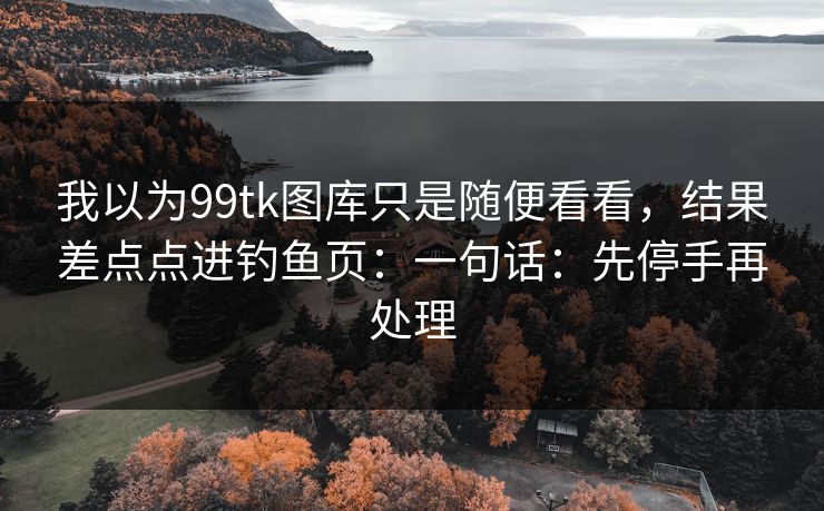 我以为99tk图库只是随便看看,结果差点点进钓鱼页:一句话:先停手再处理 我以为99tk图库只是随便看看,结果差点点进钓鱼页:一句话:先停手再处理